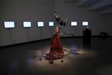 The Exhibition, "The Fly" Opened at CCA