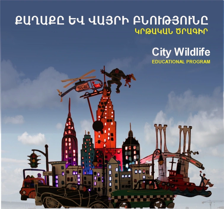 City Wildlife